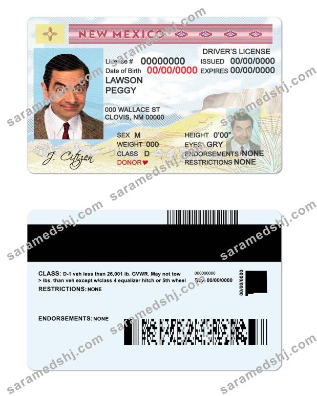 USA State New Mexico driving license